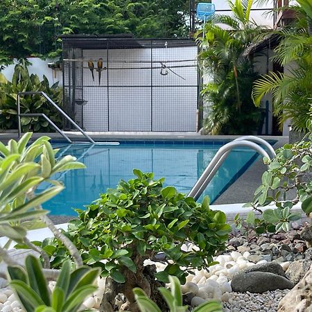 Parrot Resort Moalboal Exterior photo