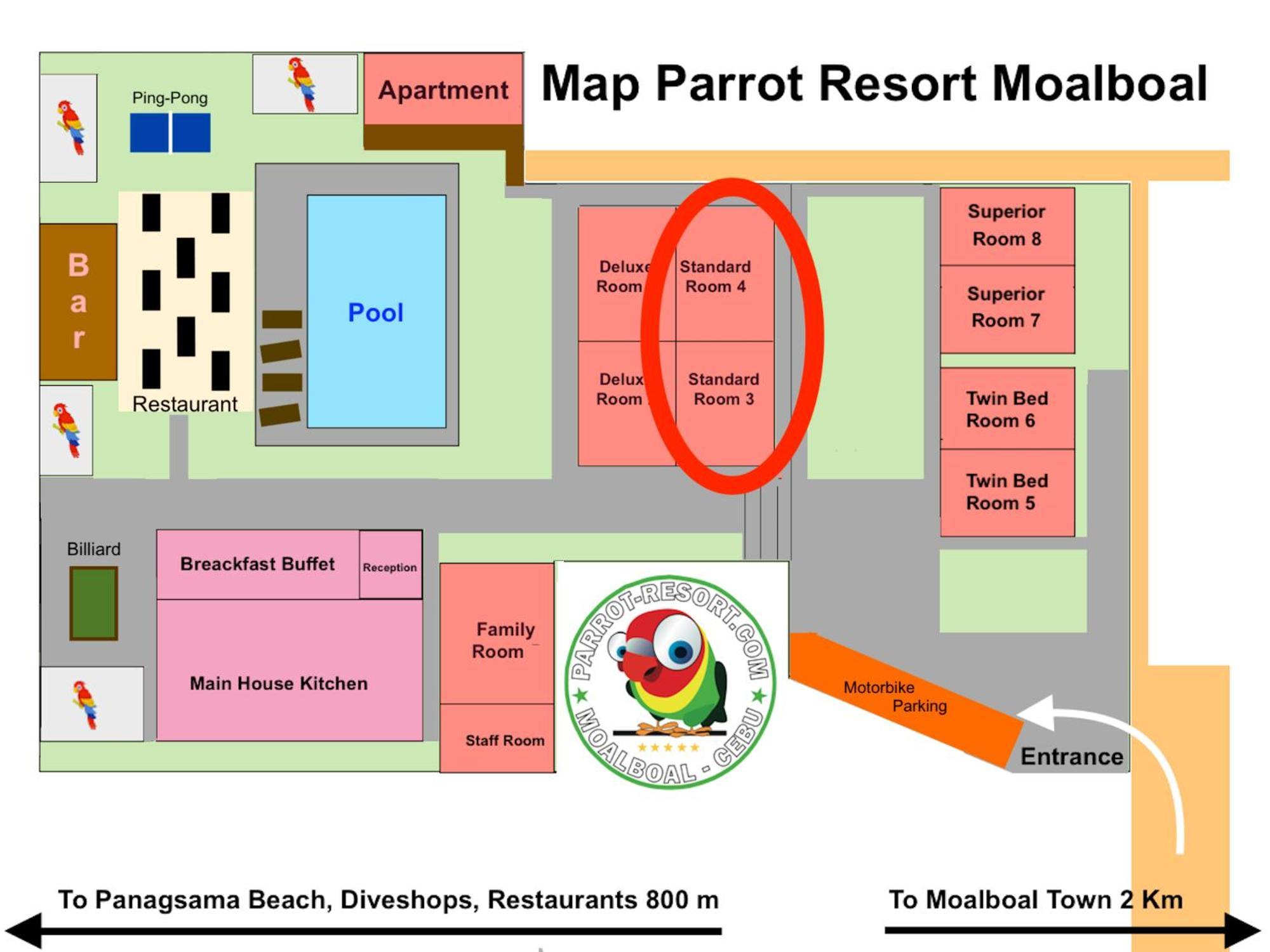 Parrot Resort Moalboal Room photo