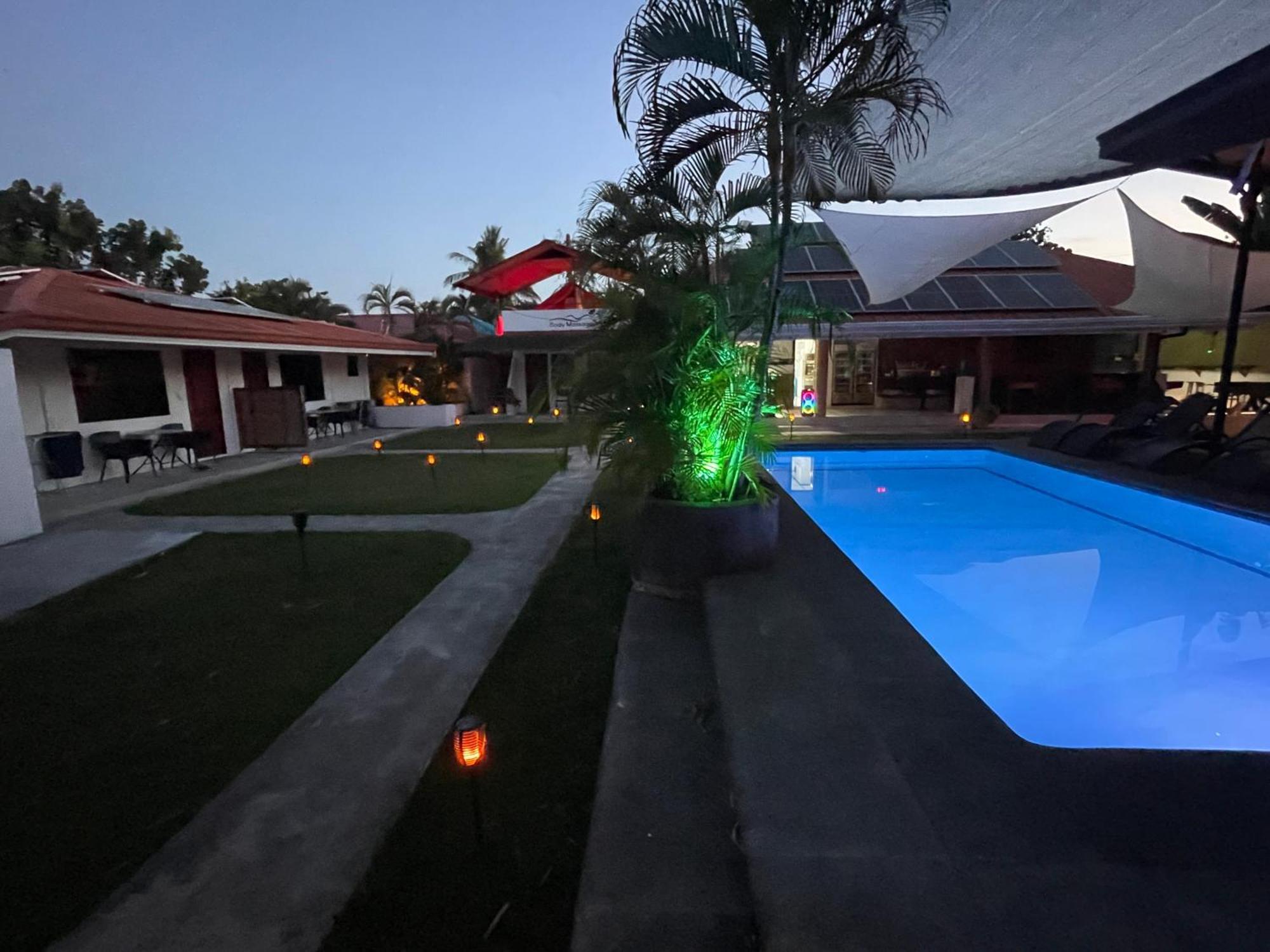 Parrot Resort Moalboal Room photo