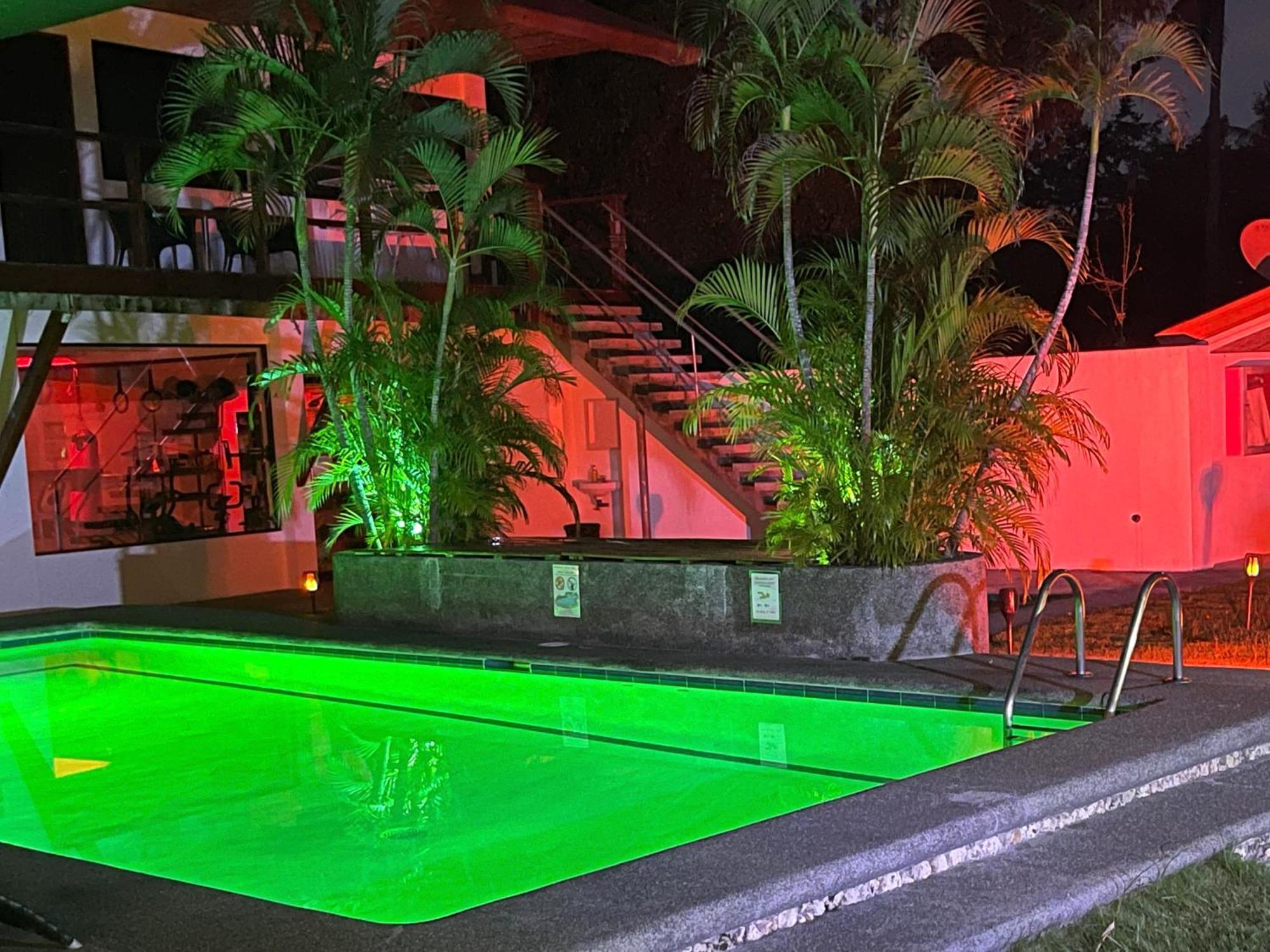 Parrot Resort Moalboal Exterior photo