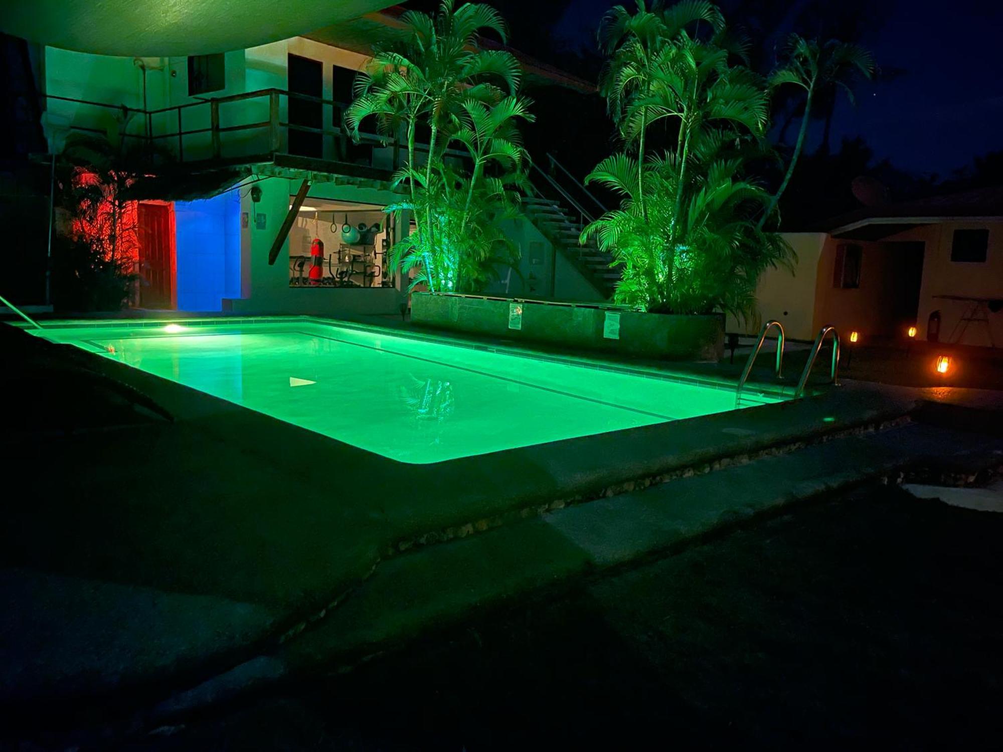 Parrot Resort Moalboal Exterior photo