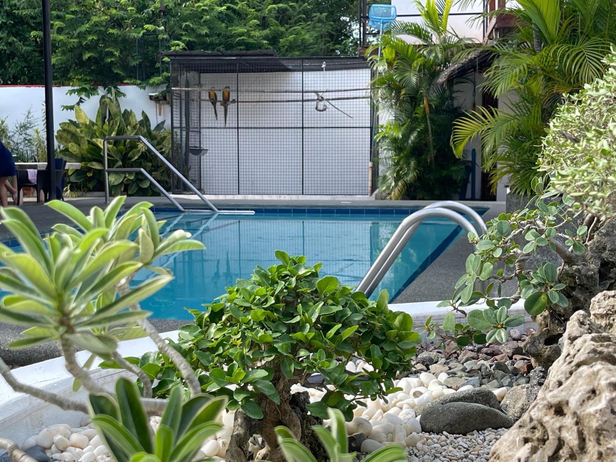 Parrot Resort Moalboal Exterior photo